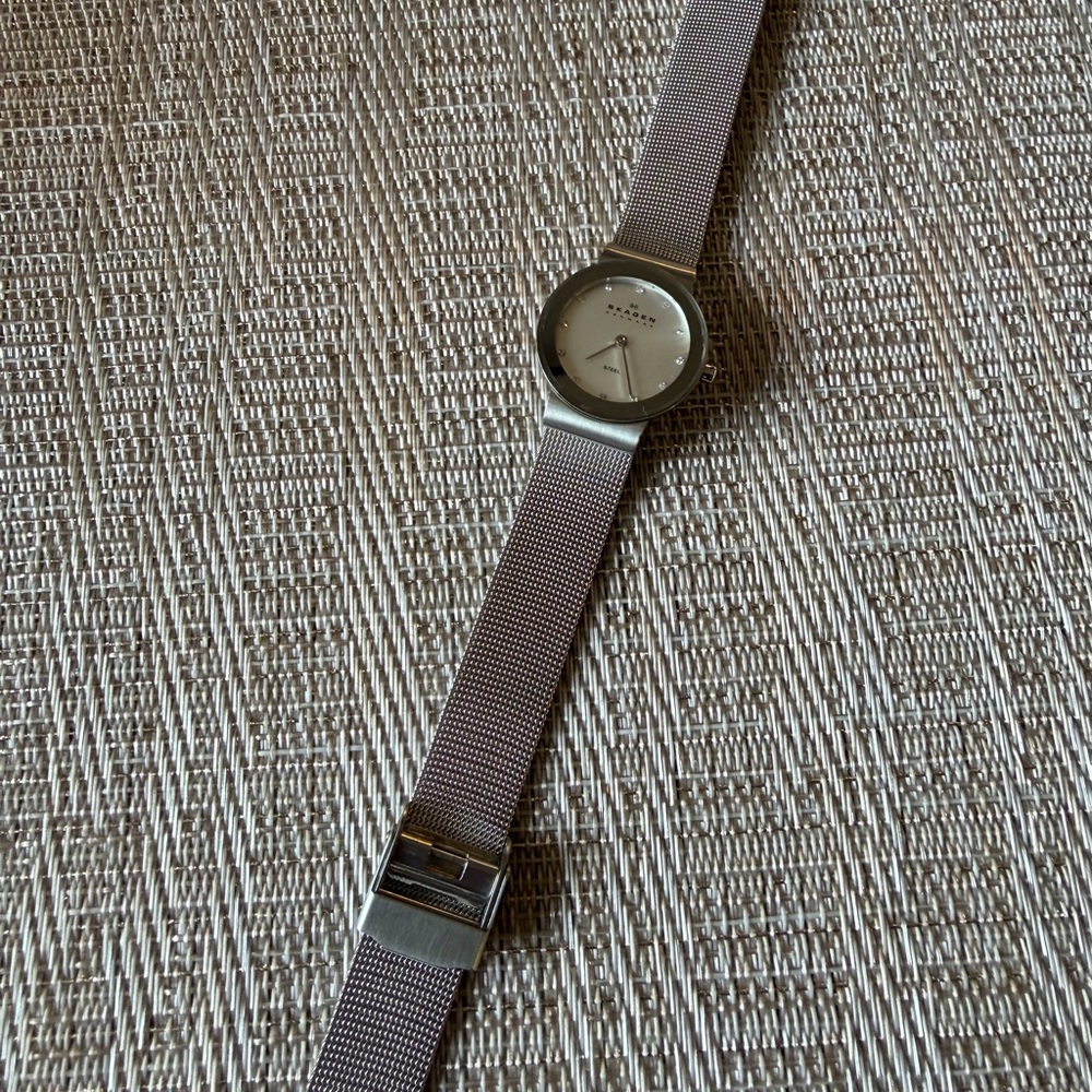 Skagen Women Stainless Steel Analog Dial Quartz Wrist Watch